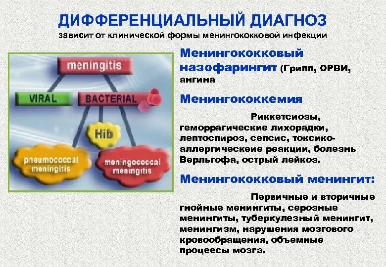 Дифференциальная диагностика гриппа. Дифференциальная диагностика менингококкового назофарингита. Грипп дифференциальная диагностика. Менингококкемия дифференциальный диагноз. Дифференциальный диагноз гриппа и менингококковая инфекция.