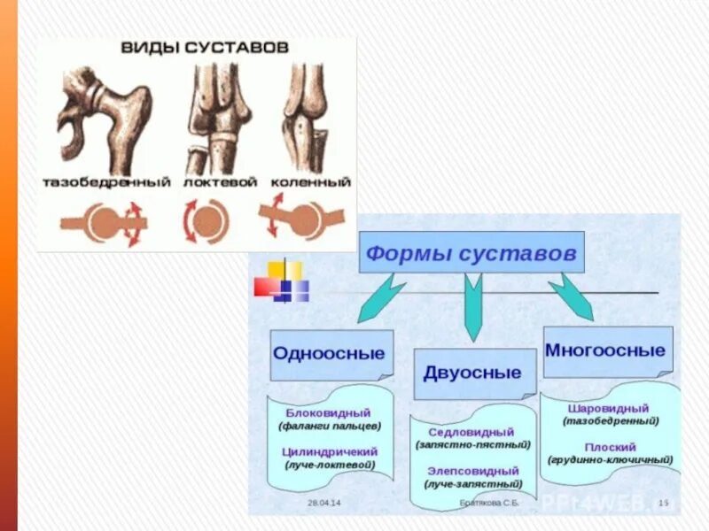 Какой сустав изображен. Суставы классификация суставов. Классификация суставов по количеству осей движения. Суставы по форме суставных поверхностей. Анатомическая классификация суставов.