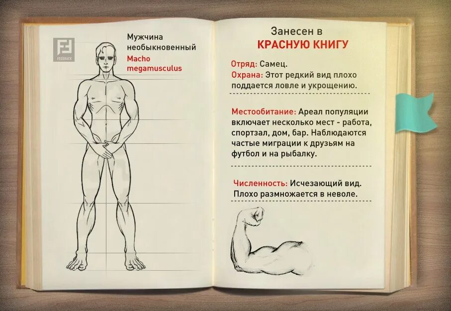 Мужской день 2024 год. Всемирный день мужчин. Международный мужской день. Какого числа праздник Всемирный день мужчин. Открытка с мужским днем.