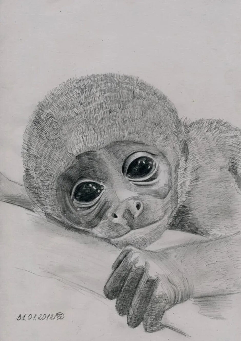 Рисунок обезьяны карандашом. Обезьяна карандашом. Обезьяна рисунок карандашом. Обезьянка для срисовки. Рисунок обезьяны для срисовки.