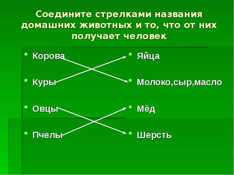 Имена стрелков. Соедини стрелками животных. Соедини стрелками что получает человек от домашних животных. Соедините стрелкой заглавие произведения с жанром. Соедини стрелками название животного с органами дыхания.