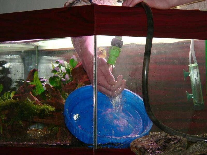 Какая вода для рыбки в аквариуме. Наливать воду в аквариум. заливаем воду в аквариум. менять воду в аквариуме. вода в аквариуме аквариума.