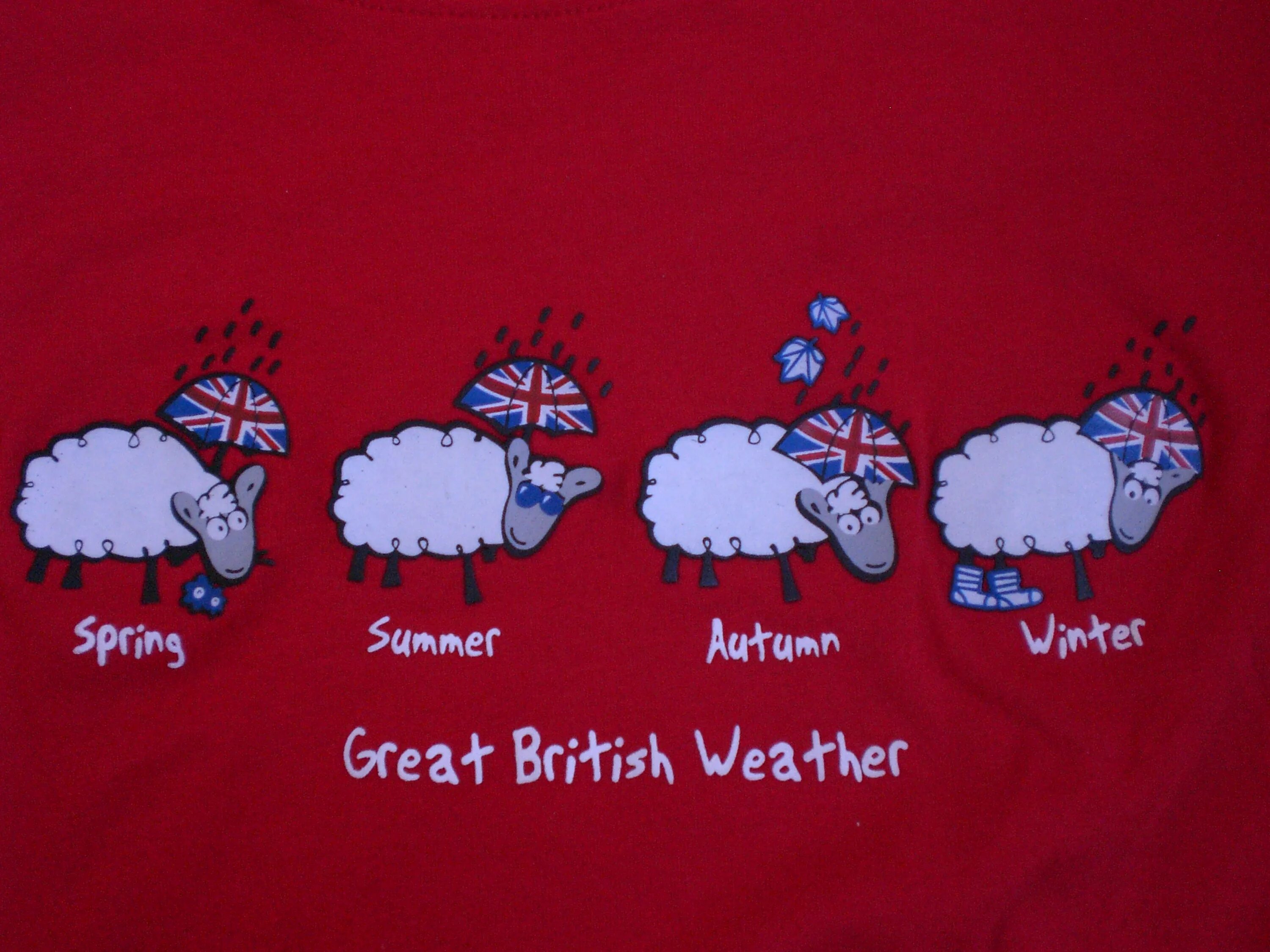 Great jokes. British weather. Британский юмор. Typical British weather. British people and weather.