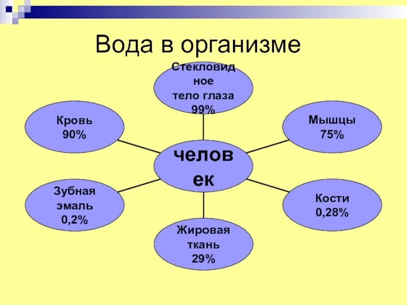 Свойство воды в организме человека. Вода в жизни человека схема. Презентация на тему вода. Кластер по теме вода. Кластер вода 3 класс.