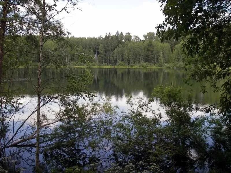 Шеренга озеро марий эл. Марий яр. Марий яр. Красный яр звениговский район. Озеро кумьяры марий.