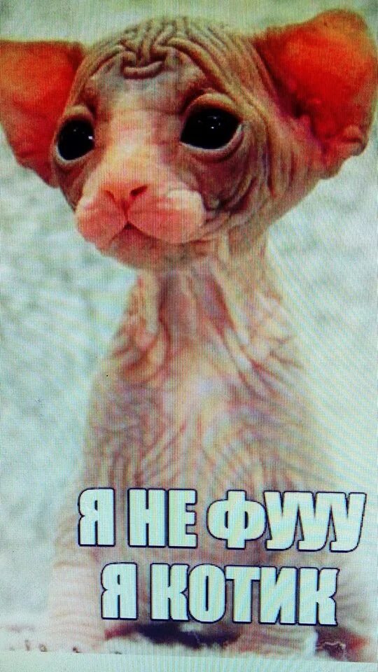 Фу не очень это вообще как