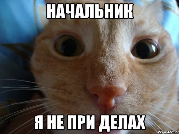 Не при таких. Я не при делах. Не при таких. Не при таких. Дьявол даже для меня это слишком.