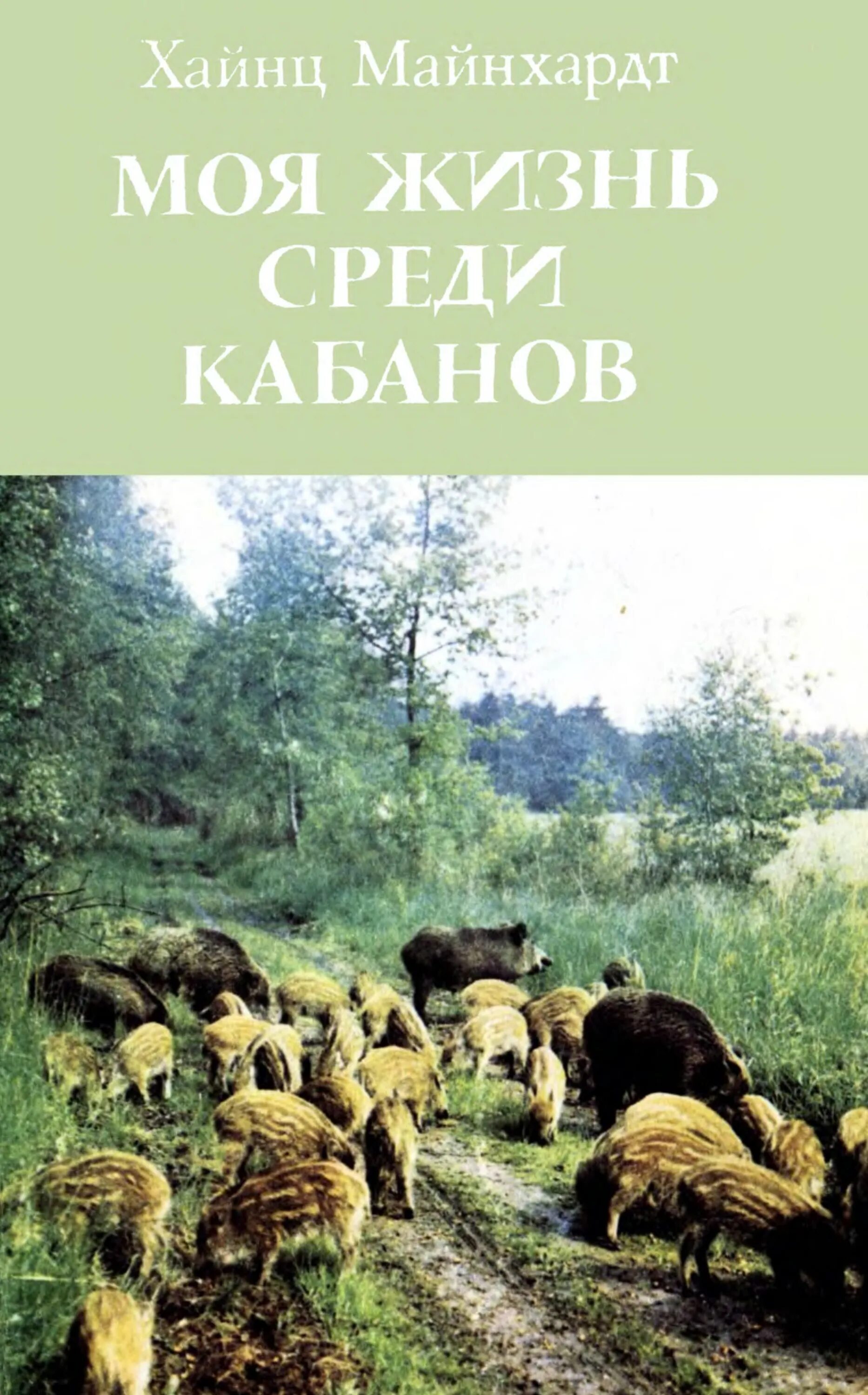 Кабан детская книжка. Книжка с обложкой кабаном. Поэт александр кабанов стихи. Книга с кабаном. Александр кабанов книги.