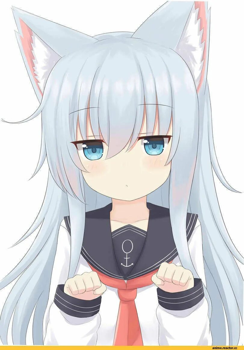 Девушка с кошачьими ушками арт. Уши тян. Уши тян. Уши тян. Уши тян.