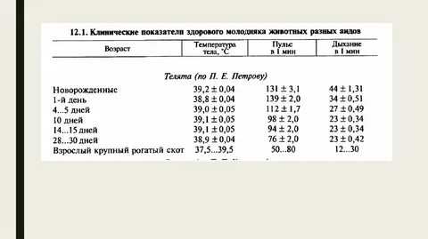 Температура разных животных