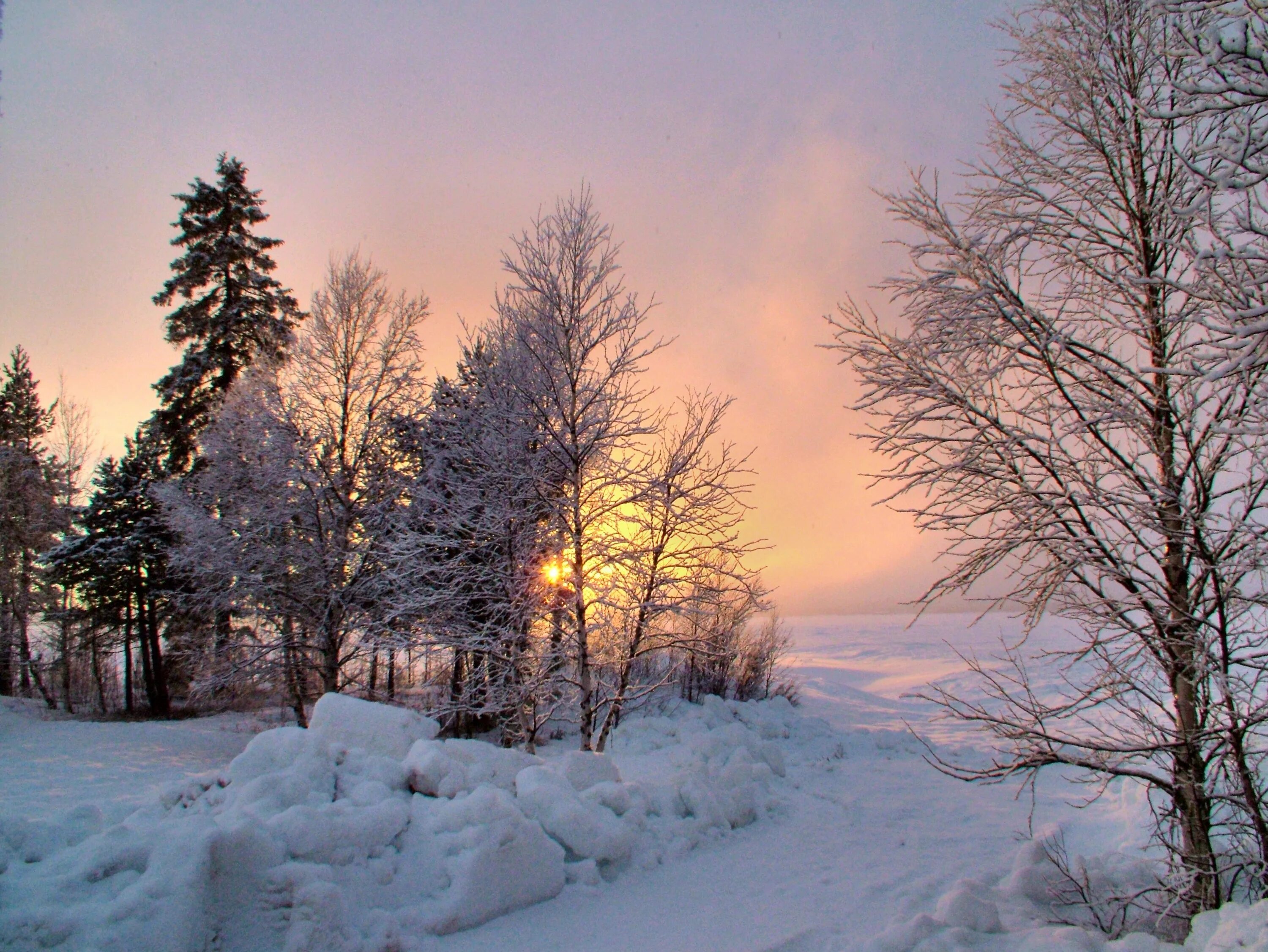 Зимнее утро картинки. Тихое зимнее утро. Утро зима. Морозный пейзаж. Зимняя природа севера.
