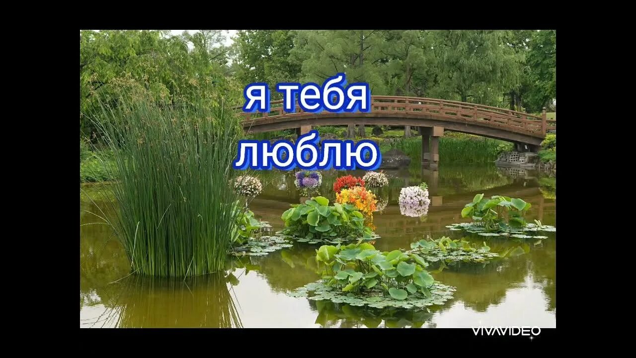 Чёрная смородина sevenrose. Караоке песни смородина. Песни черная смородина. Черная смородина в городском саду. Караоке чёрная смородина.