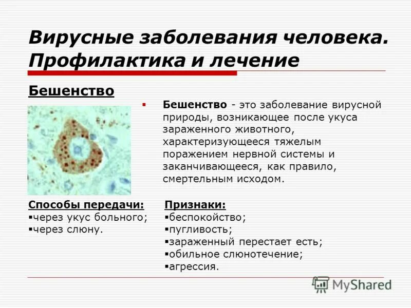 Сообщение на тему вирусы человека. Вирусные заболевания вич. Вирусы презентация. Сообщение о вирусе по биологии. Вирусы презентация.