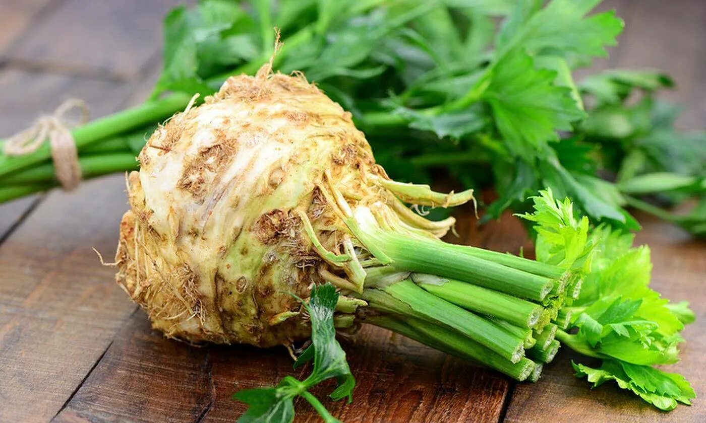 Сельдерей весной. Сельдерей Apium graveolens. Сельдерей корневой силач. Сельдерей корневой и черешковый. Сельдерей корневой Диамант.