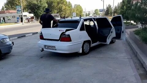 Сомон тч собака