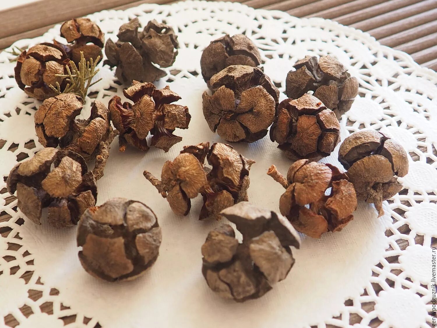 Декор из шишек кипариса