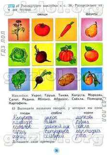 Найдите название овоща