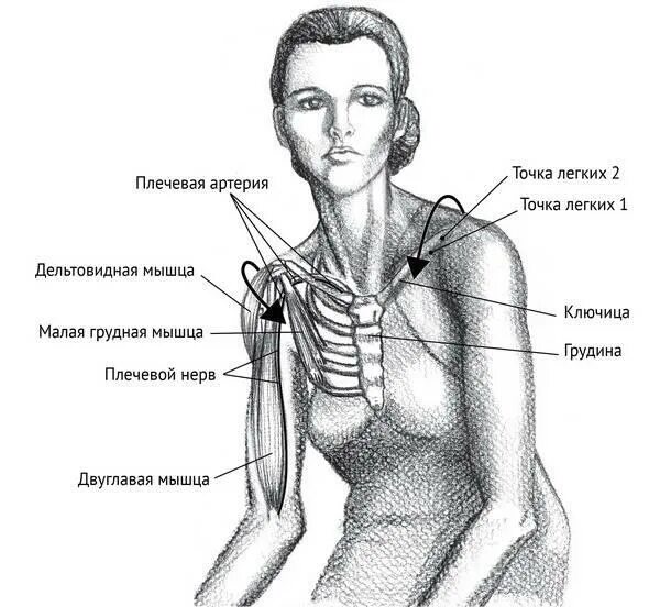Как называется зона между