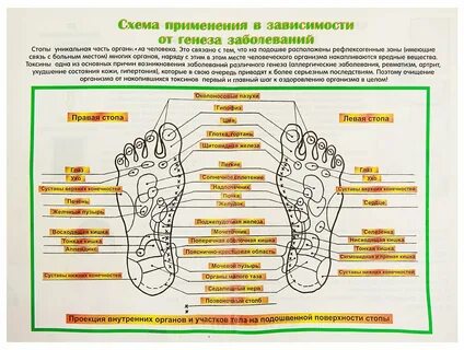 Через сколько стоп