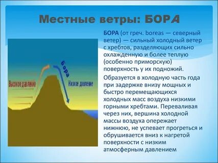 Местные ветры