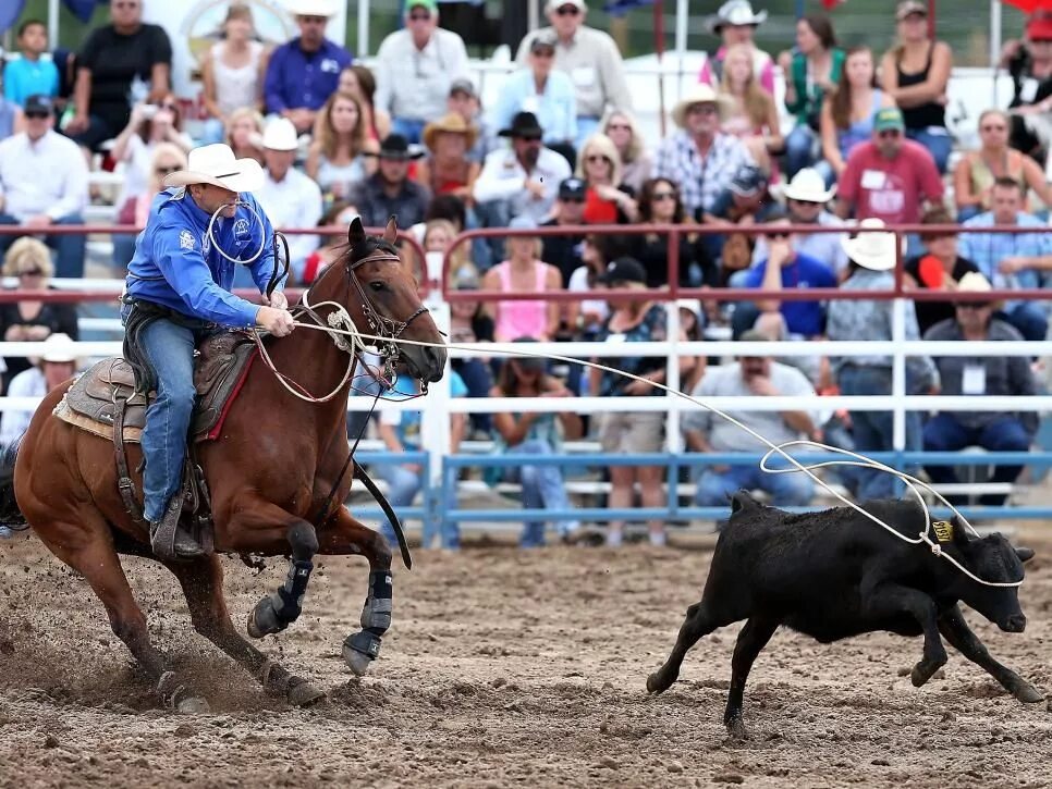 Rodeo speed