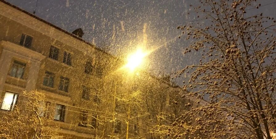 Мурманский гидрометцентр сайт