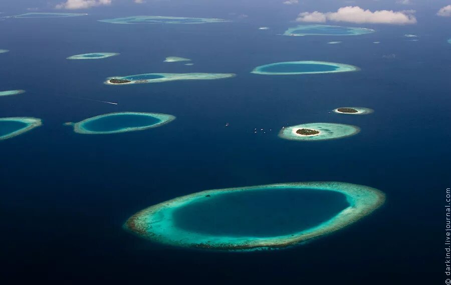 Атолл фаафу. Атоллы австралии. Алиф алиф мальдивы атолл. Острова туамоту. Северный ари атолл мальдивы.