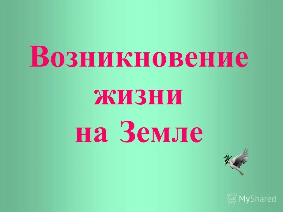 Тест по теме возникновения жизни на земле