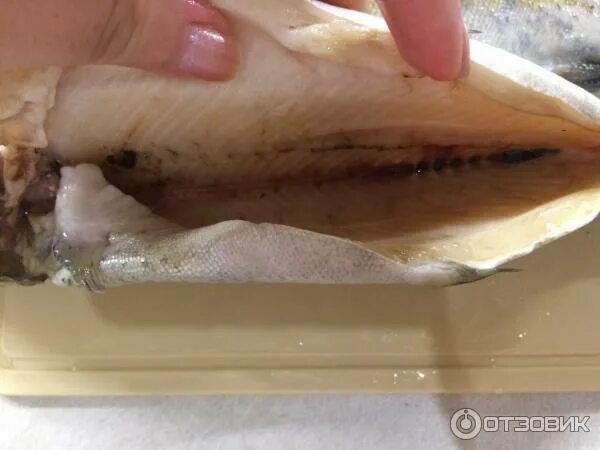 Цвет жабр у свежей рыбы. Форель радужная ista,. форель радужная фото в разрезе. свежесть форели по жабрам.