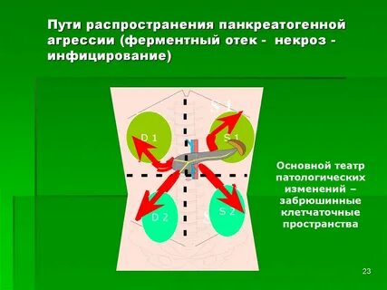 Путь распределения