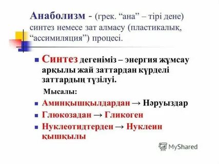 Метаболизм түрлері