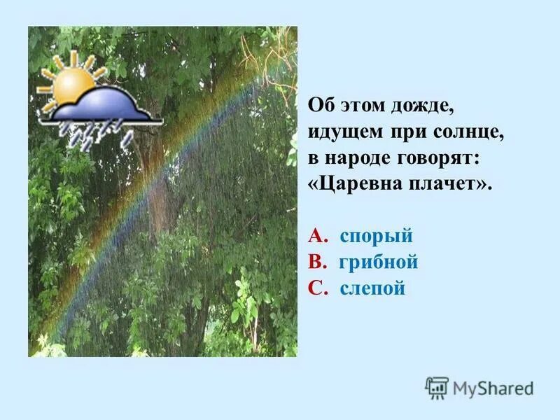 Дождик прилагательное. Произведения о Дожде 3 класс. Доклад про дождь 3 класс. Описание дождя. Сообщение о Дожде.