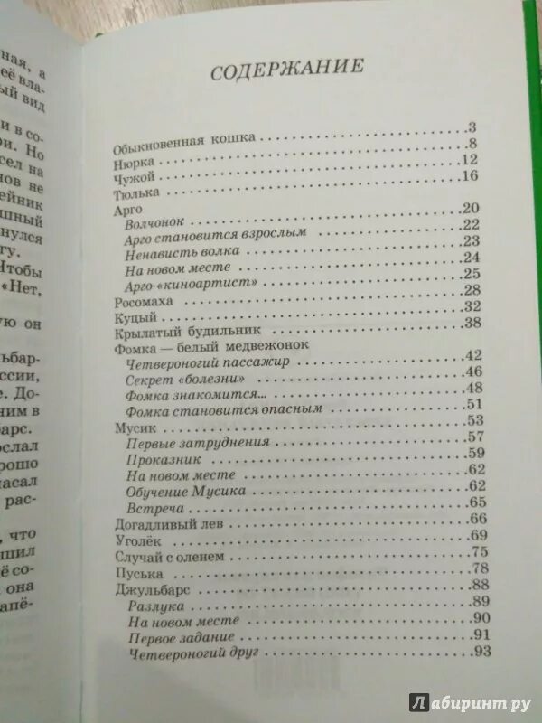 Чаплина крылатый будильник. Книга крылатый будильник веры Чаплиной. В Чаплина крылатый будильник произведение. Рассказ веры Чаплиной крылатый будильник.