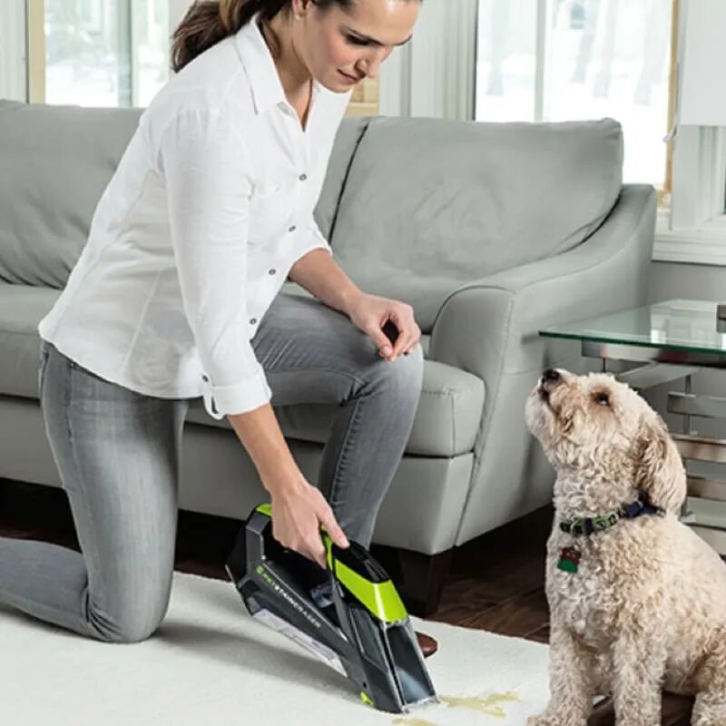 Bissell Cleaner Pet. Bissell Carpet and Upholstery Cleaner. Моющий пылесос Pet. Пылесос для собак.