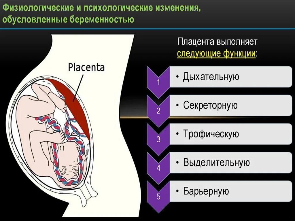 Физиологические беременность и роды. Физиология беременности. Физиологическая беременность. Физиологическая беременность презентация. Физиология беременности кратко.