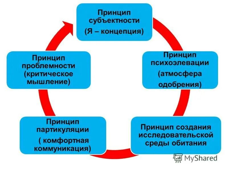 Субъектность развития. Принцип субъектности в педагогике. Концепции субъектности. Принципы воспитания принцип субъектности. Принцип субъектности в психологии.