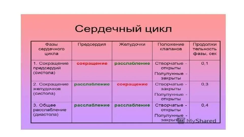 Названия сердечных циклов