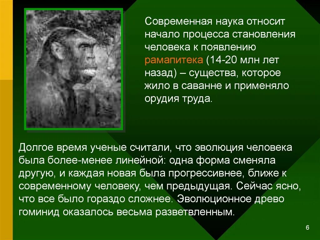 Процесс становления развития человека. Возникновение человеческого общества. Происхождение человека и становление общества. Наука о происхождении человека и становление общества. Становление человека и человеческого общества.