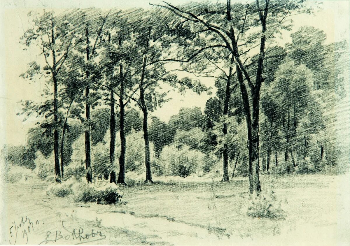 е лесной. елово сосновый лес. живопись пейзаж бурмакин. лесная тропинка в тайге. хвойные леса и широколиственные подмосковья.