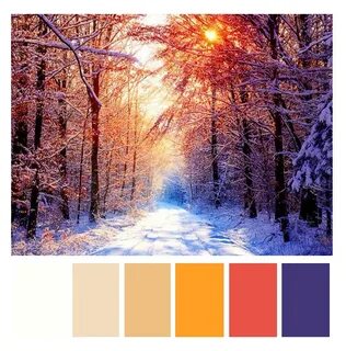 Winter colour