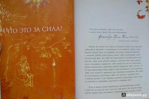 История сила красоты