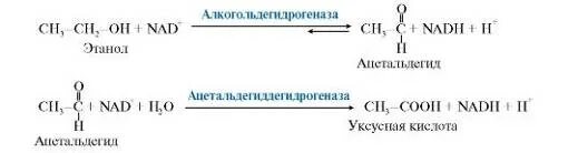 Уксусная кислота реакция окисления. Схема реакции окисления этанола. Реакция окисления ацетальдегида в уксусную кислоту. Реакция окисления этанола в организме. Реакция окисления этанола в уксусной кислоте.