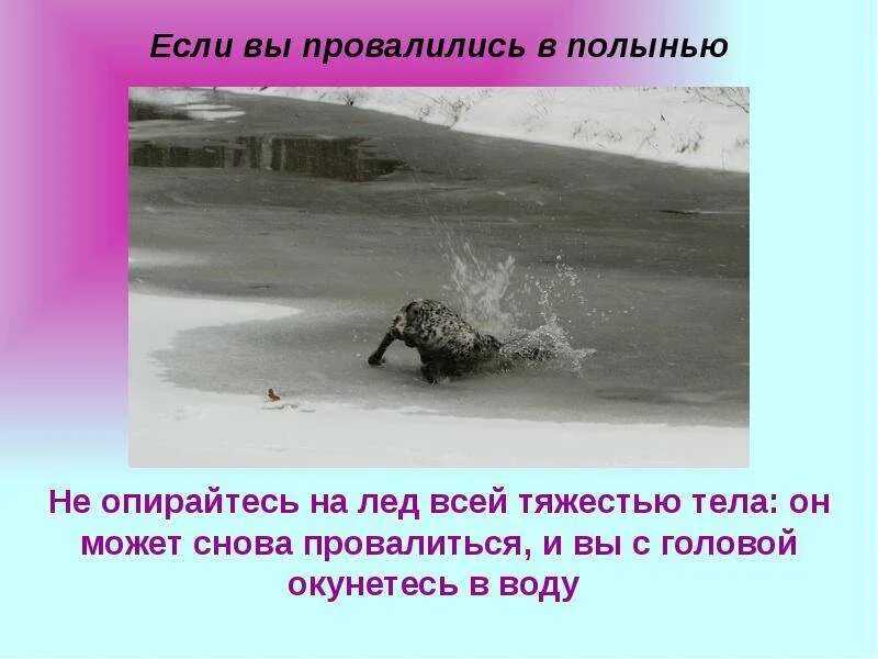 Тает лед на реке. Полынья. Полыньи образуется. Полыньи на реке что это. Если вы провалились в полынью.