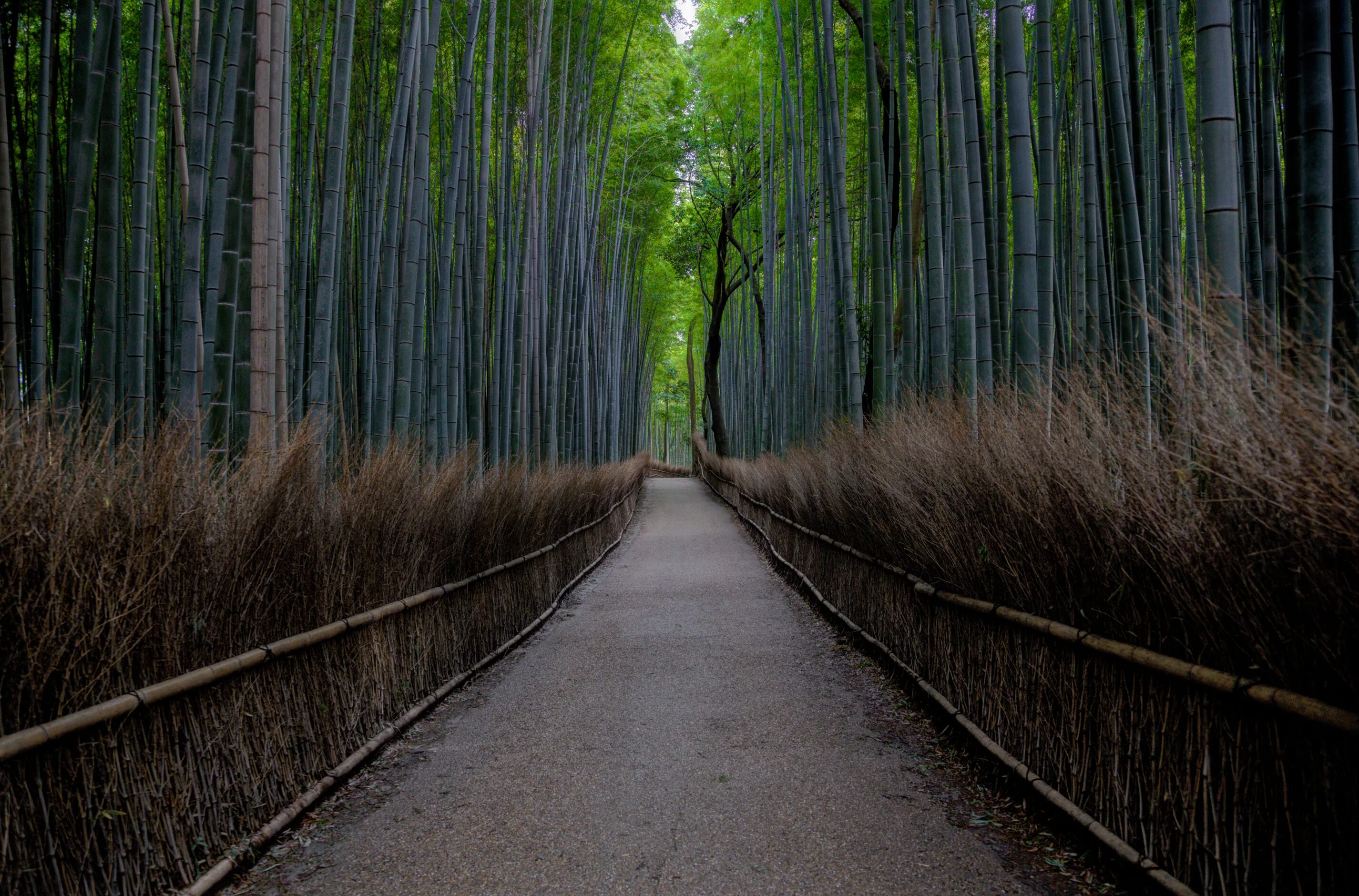 Winding through
