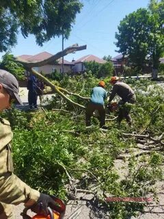 Новороссийск что происходит сейчас 17 мая