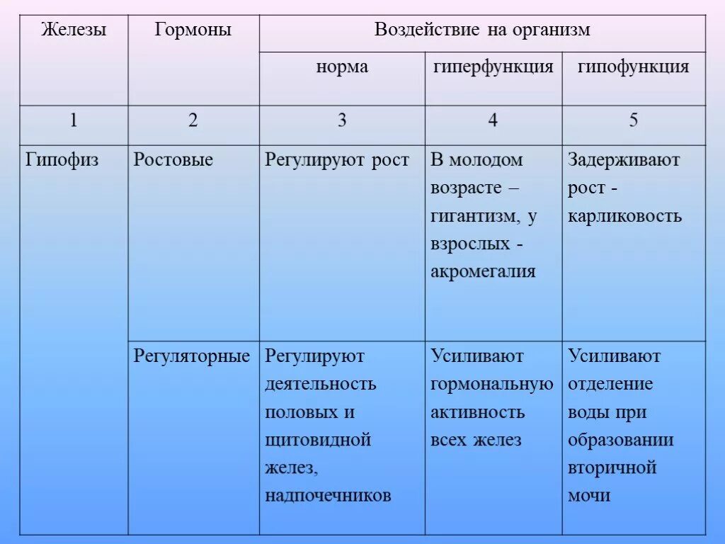 Гипофиз тип железы таблица Картинки ЖЕЛЕЗЫ ВНУТРЕННЕЙ СЕКРЕЦИИ ВЫРАБАТЫВАЕМЫЕ ГОРМОНЫ