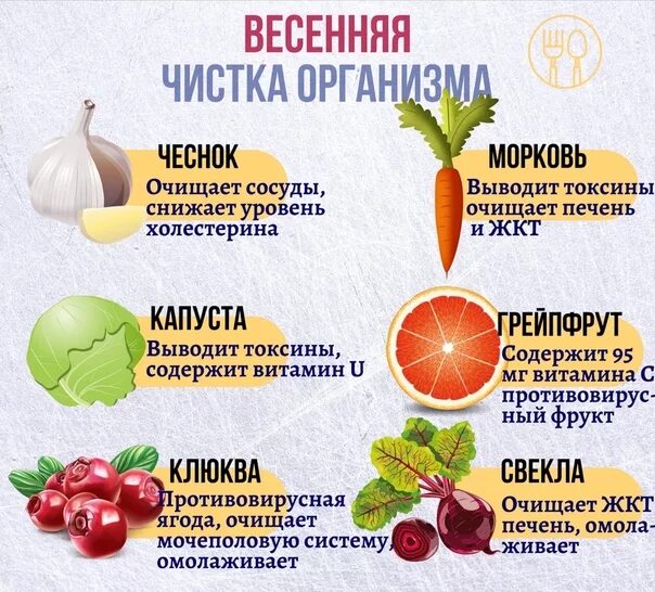 Продукты для очищениеорганизма. Продукты для очищения организма. Фрукты очищающие организм от токсинов. Продукты для очищения организма от шлаков.