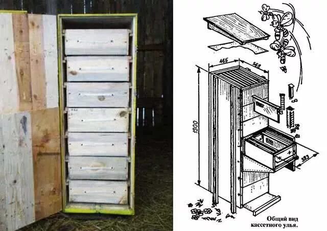 Что входит в базовую часть умного улья. Чертежи кассетного улья Берендей. Кассетный пчелопавильон Берендей чертежи. Кассетный пчелопавильон Миленина. Рамочный улей Прокоповича.