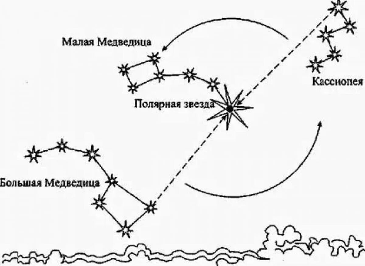 Определение местоположения звезд. Большая и малая медведица кассиопея. схема созвездия кассиопея лебедь орион. созвездие большая и малая медведица схема. созвездие малой медведицы, кассиопея, полярная звезда.
