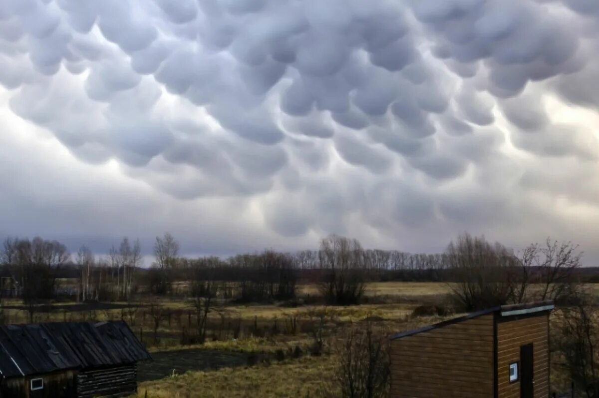 Мамматусы вымеобразные облака. Облака мамматус атмосферное явление. Необычные облака. Редкие облака мамматусы.